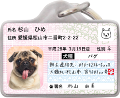 マイワンバー迷子札（犬）サンプル⑯