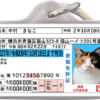愛猫免許迷子札