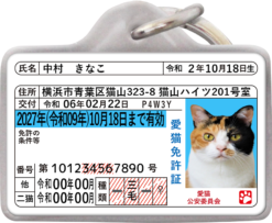 愛猫免許迷子札
