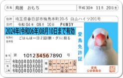 愛鳥免許証