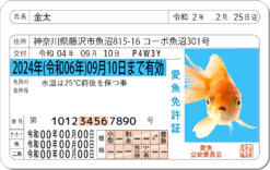 愛魚免許証