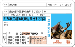 昆虫免許証