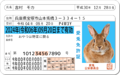 愛兎免許証