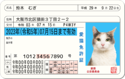 愛猫免許証
