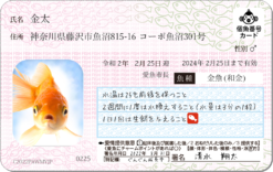 サカナンバーカード