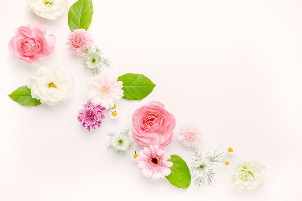 ポーミー (Pawmy)｜愛犬・愛猫・どうぶつ愛をカタチにする迷子札とオリジナルペットグッズのお店