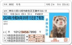 愛鼬免許証
