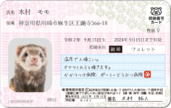 フェレナンバーカード