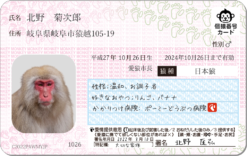 サルナンバーカード