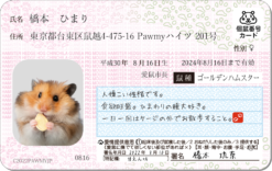 ハムナンバーカード