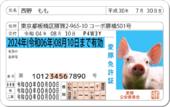 愛豚免許証