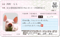 ブタナンバーカード