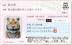 トラナンバーカード