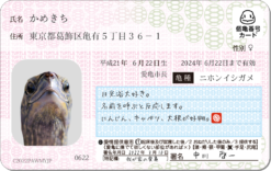 カメナンバーカード