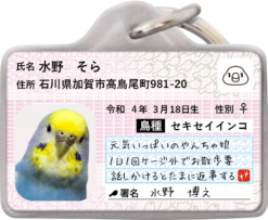 トリナンバー迷子札