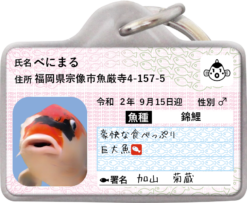 サカナンバー迷子札