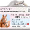 ウマナンバー迷子札