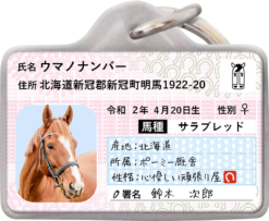ウマナンバー迷子札