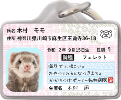 フェレナンバー迷子札
