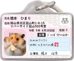 ハムナンバー迷子札