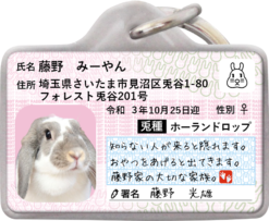 ウサナンバー迷子札