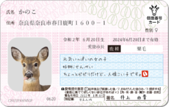 シカナンバーカード