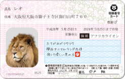 シシナンバーカード