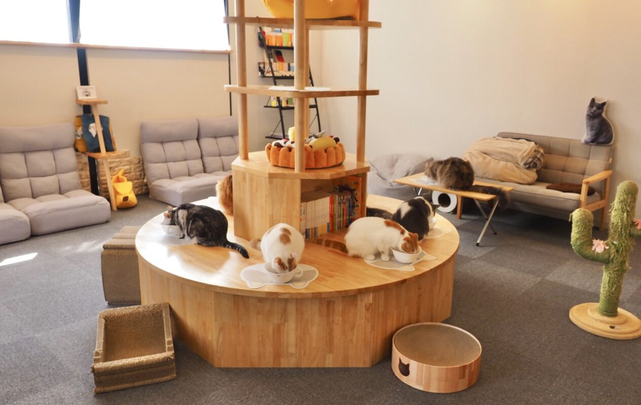 ポーミー (Pawmy)｜愛犬・愛猫・どうぶつ愛をカタチにする迷子札とオリジナルペットグッズのお店