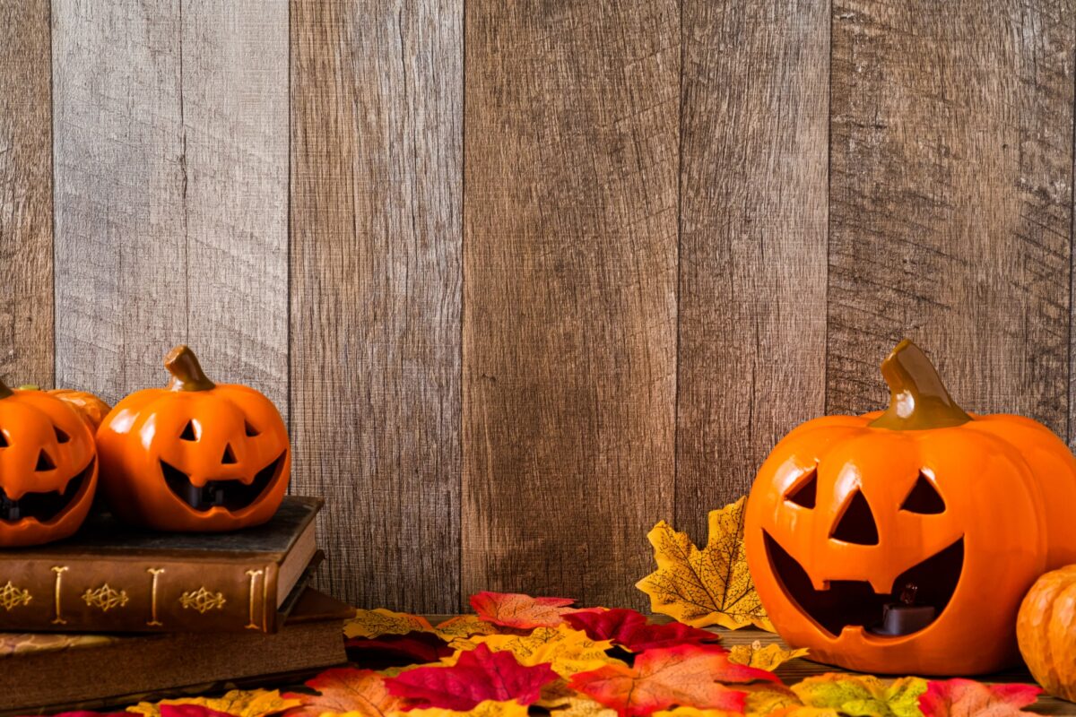 ポーミー (Pawmy)｜愛犬・愛猫・どうぶつ愛をカタチにする迷子札とオリジナルペットグッズのお店