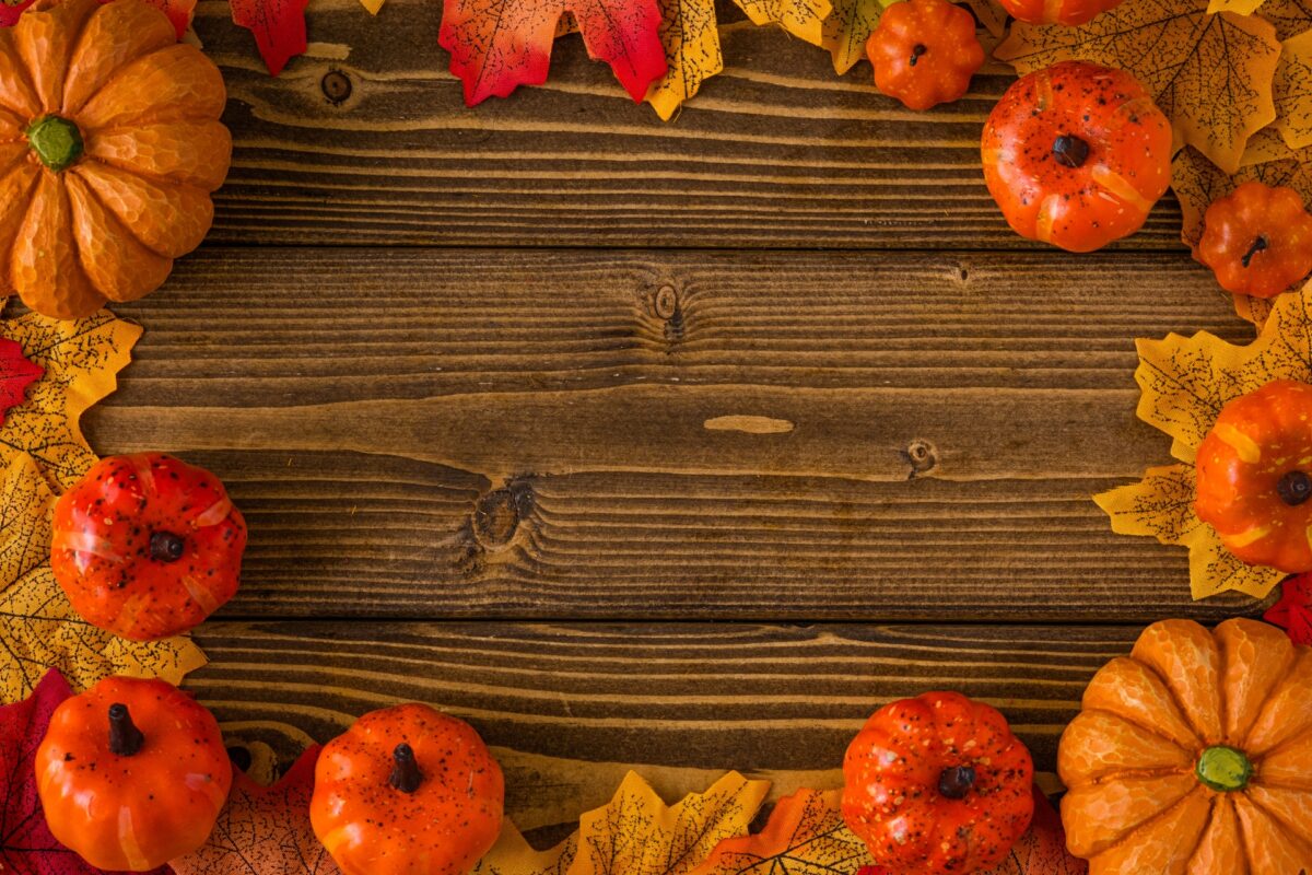 ポーミー (Pawmy)｜愛犬・愛猫・どうぶつ愛をカタチにする迷子札とオリジナルペットグッズのお店