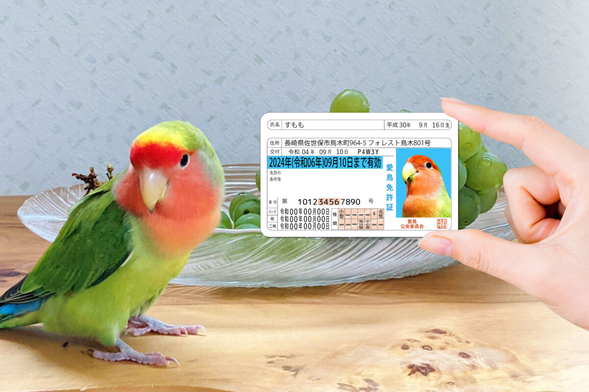 ポーミー (Pawmy)｜愛犬・愛猫・どうぶつ愛をカタチにする迷子札とオリジナルペットグッズのお店