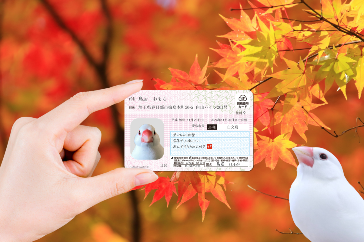 ポーミー (Pawmy)｜愛犬・愛猫・どうぶつ愛をカタチにする迷子札とオリジナルペットグッズのお店