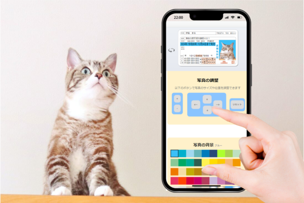 スマホでデザインして注文。なめ猫免許証みたいなものを作れるよ