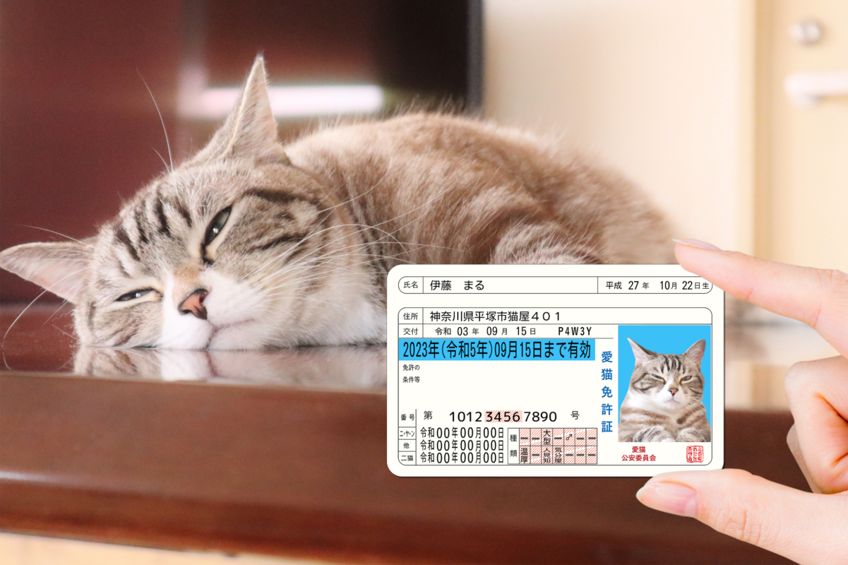 ポーミー (Pawmy)｜愛犬・愛猫・どうぶつ愛をカタチにする迷子札とオリジナルペットグッズのお店