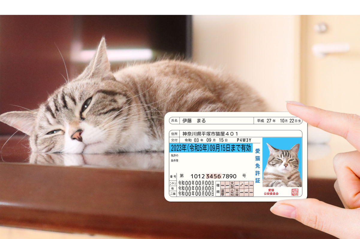 ポーミー (Pawmy)｜愛犬・愛猫・どうぶつ愛をカタチにする迷子札とオリジナルペットグッズのお店