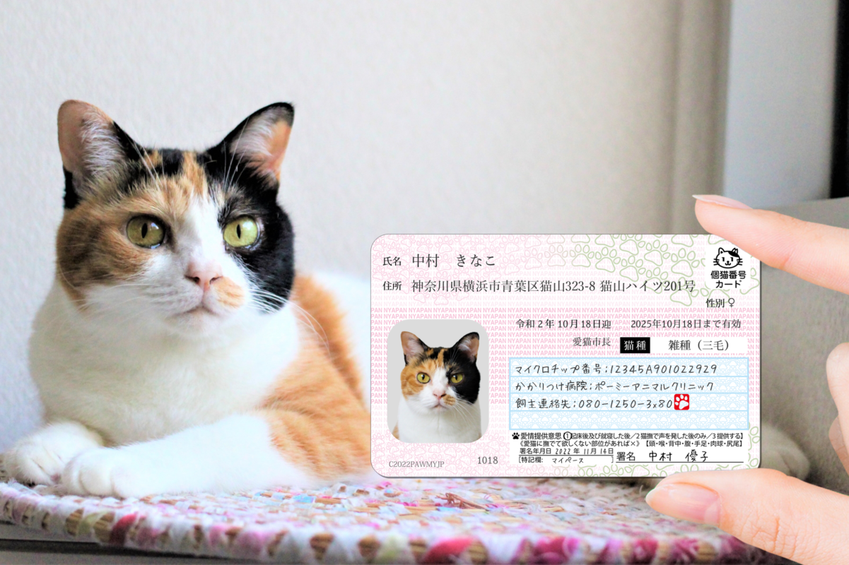 ポーミー (Pawmy)｜愛犬・愛猫・どうぶつ愛をカタチにする迷子札とオリジナルペットグッズのお店