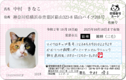 マイニャンバーカードサンプル①（なめ猫）