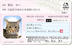 免許証 - IDカード