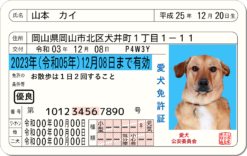 これはまさに、なめ猫免許証の犬バージョン