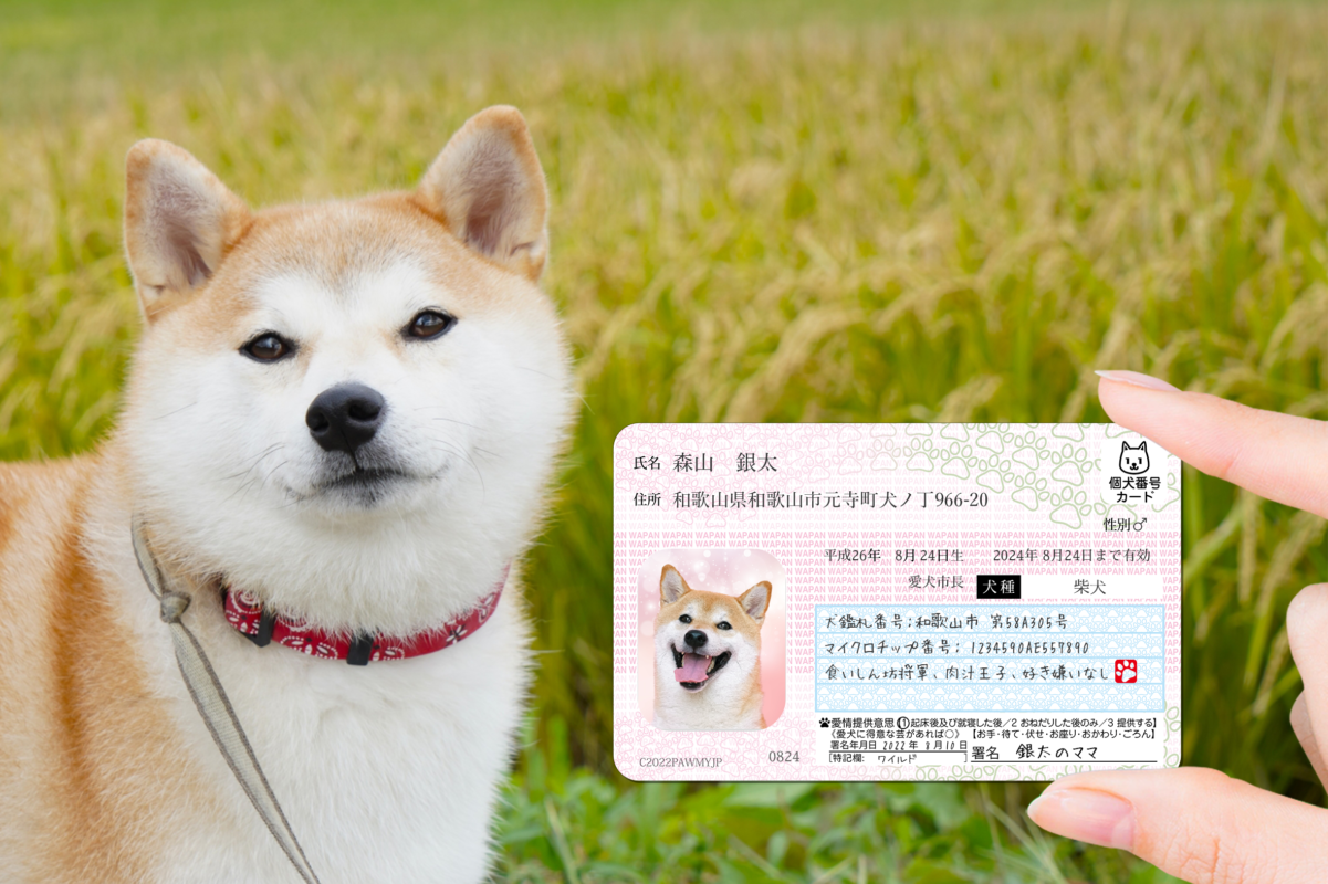 ポーミー (Pawmy)｜愛犬・愛猫・どうぶつ愛をカタチにする迷子札とオリジナルペットグッズのお店