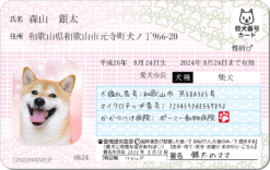 マイワンバーカード