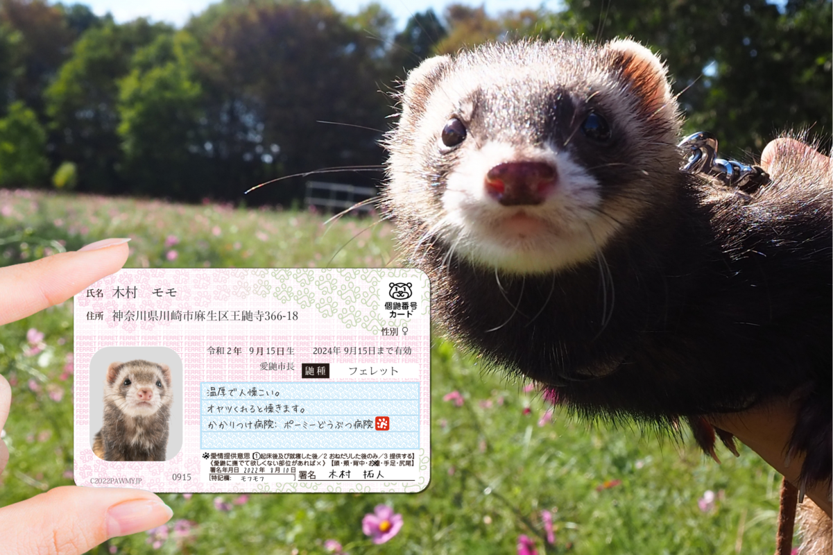 ポーミー (Pawmy)｜愛犬・愛猫・どうぶつ愛をカタチにする迷子札とオリジナルペットグッズのお店