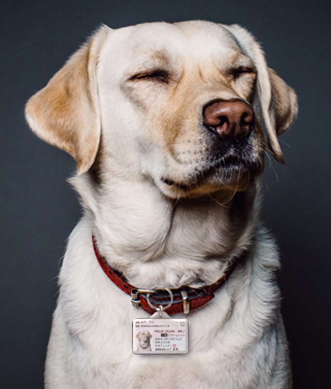 ポーミー (Pawmy)｜愛犬・愛猫・どうぶつ愛をカタチにする迷子札とオリジナルペットグッズのお店