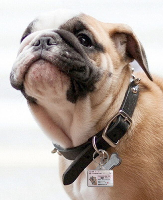 ポーミー (Pawmy)｜愛犬・愛猫・どうぶつ愛をカタチにする迷子札とオリジナルペットグッズのお店