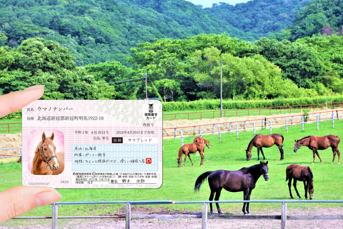 ポーミー (Pawmy)｜愛犬・愛猫・どうぶつ愛をカタチにする迷子札とオリジナルペットグッズのお店