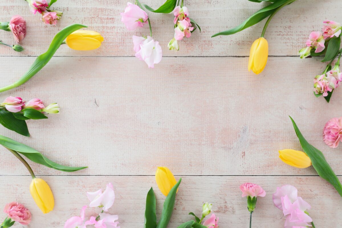 ポーミー (Pawmy)｜愛犬・愛猫・どうぶつ愛をカタチにする迷子札とオリジナルペットグッズのお店