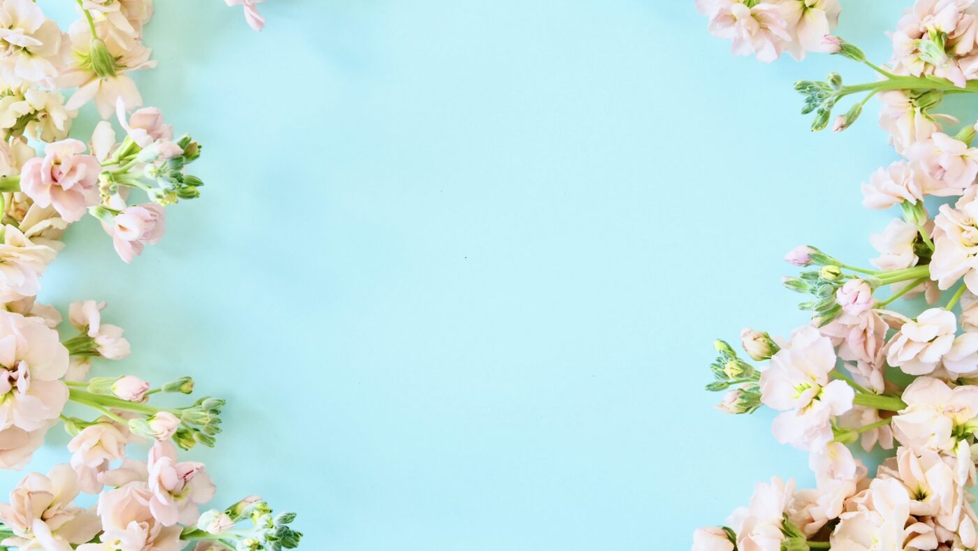 ポーミー (Pawmy)｜愛犬・愛猫・どうぶつ愛をカタチにする迷子札とオリジナルペットグッズのお店