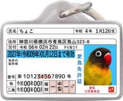 愛鳥免許迷子札