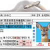 愛鹿免許迷子札