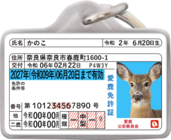 愛鹿免許迷子札